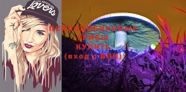 Альфа ПВП Алексин