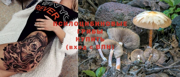 дживик Абинск